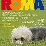 Regionale di Roma 18 maggio 2014