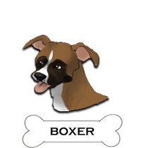 boxer