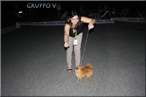 gruppo-5