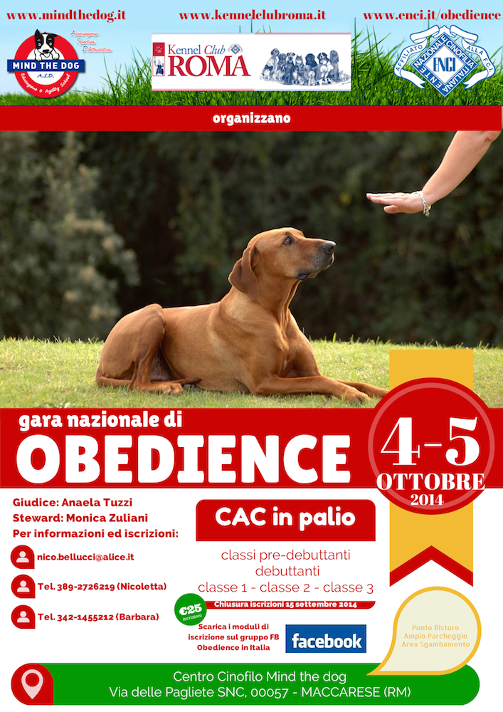 obedience4-5ot